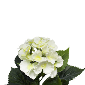 Code LD6372-2
