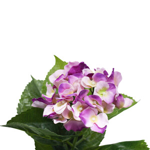 Code LD6374-2