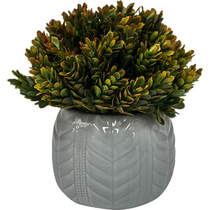 Code LD5038-1