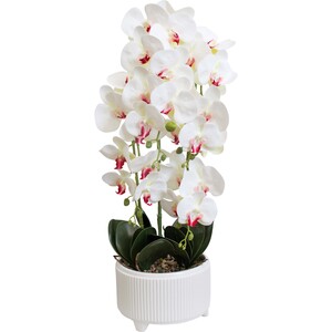 Code LD7103-1