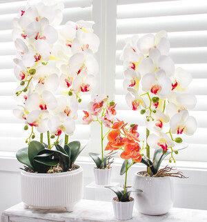 Code LD7101-1
