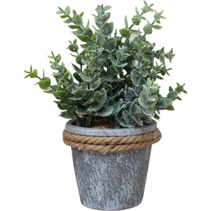 Code LD5167-6