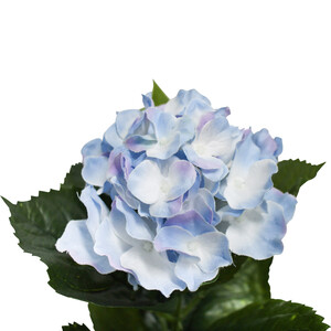 Code LD6373-2